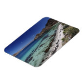 バジャコンセプションベイ マグネット (左側)