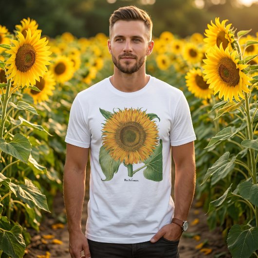 バジリウス・ベスラーによるヴィンテージのひまわり Tシャツ