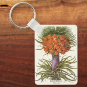 バジリウス・ベスラーによるヴィンテージのフリチラリアの花 キーホルダー (正面)