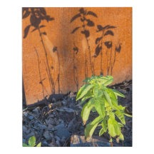 バジルの影(Corten steel)