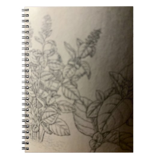バジルを描く。 ノートブック (正面)