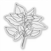 バジルステッカー シール (正面)