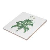 バジルハーブ緑のキッチングリーン植物 タイル (側面)