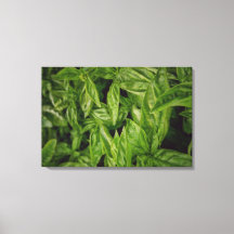 バジルファインアート