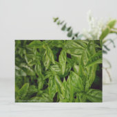 バジルファインアート 案内状 (スタンド正面)