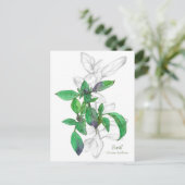 バジル料理ハーブウォーターイラストレーション ポストカード (スタンド正面)