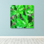 バジル離れフォトアートキャンバスプリント キャンバスプリント (インサイチュ (ウッドフロア))