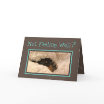 バスおもしろいセット·ハウンド·ドクターでウェル·カードを入手