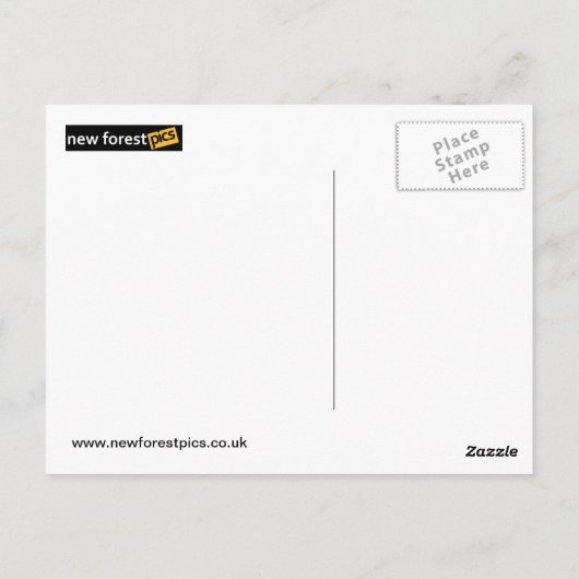 バスはがき ポストカード (裏面)