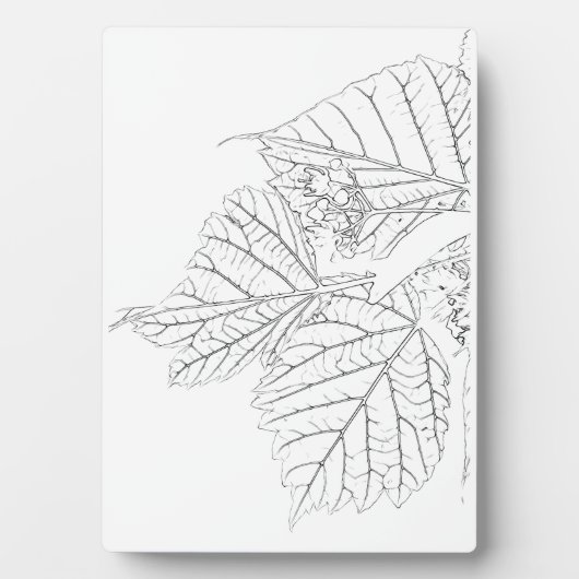 バスウッド葉 フォトプラーク (正面)