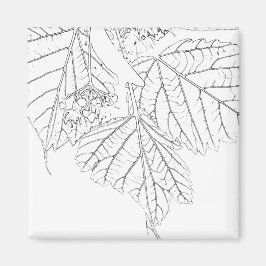 バスウッド葉 マグネット