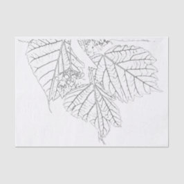 バスウッド葉 薄葉紙
