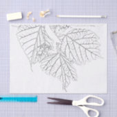 バスウッド葉 薄葉紙 (クラフト)