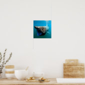 バスキングサメ(セトルヒヌス・マクシムス) ポスター (キッチン)