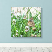 バスケエ蝶 キャンバスプリント (インサイチュ (ウッドフロア))