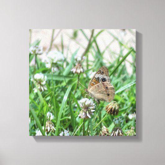 バスケエ蝶 キャンバスプリント (正面)