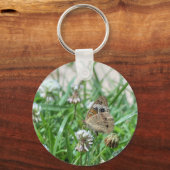 バスケエ蝶 キーホルダー (正面)