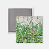 バスケエ蝶 マグネット (正面/裏面)