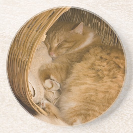 バスケットで眠るオレンジタビー コースター (正面)