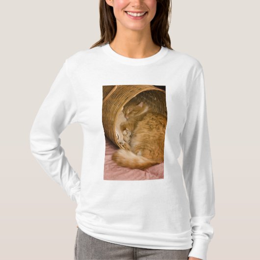 バスケットで眠るオレンジタビー Tシャツ (正面)