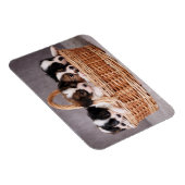 バスケットに入ったかわいい子犬たち5匹 マグネット (右側)