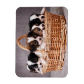 バスケットに入ったかわいい子犬たち5匹 マグネット (縦)