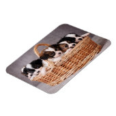 バスケットに入ったかわいい子犬たち5匹 マグネット (左側)