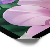 バスケットに入ったかわいい子猫たち|過去記事 ポスター (角)