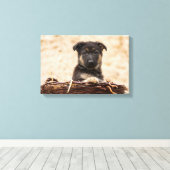 バスケットに入ったドイツの羊飼い犬 キャンバスプリント (インサイチュ (ウッドフロア))