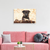 バスケットに入ったドイツの羊飼い犬 キャンバスプリント (インサイチュ (リビング))