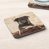 バスケットに入ったドイツの羊飼い犬 コースター (左側)