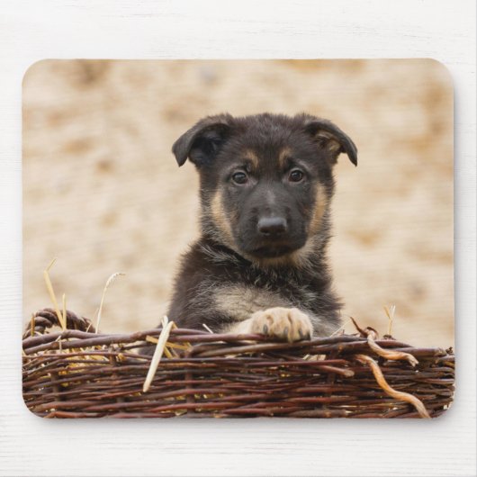 バスケットに入ったドイツの羊飼い犬 マウスパッド (正面)