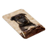 バスケットに入ったドイツの羊飼い犬 マグネット (右側)