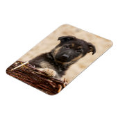 バスケットに入ったドイツの羊飼い犬 マグネット (左側)