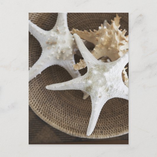 バスケットに入ったヒトデ ポストカード (正面)