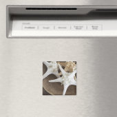 バスケットに入ったヒトデ マグネット (インサイチュ (食洗機))