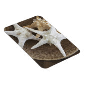 バスケットに入ったヒトデ マグネット (右側)