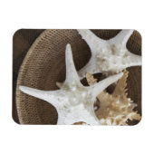 バスケットに入ったヒトデ マグネット (横)