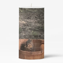 バスケットに入ったリス