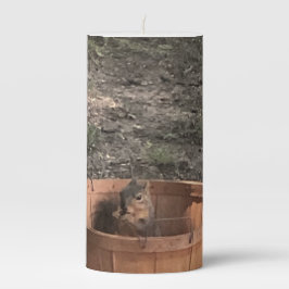 バスケットに入ったリス