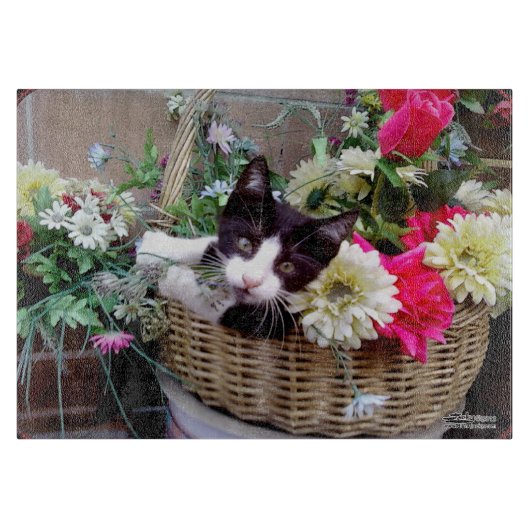 バスケットに入った子猫 カッティングボード (正面)