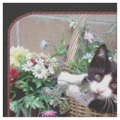 バスケットに入った子猫 ファブリック (クローズアップ)