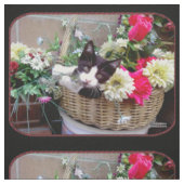 バスケットに入った子猫 ファブリック (見本)