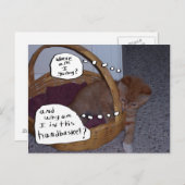 バスケットに入った子猫 ポストカード (正面/裏面)