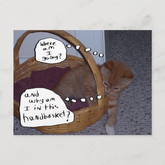 バスケットに入った子猫 ポストカード (正面)