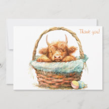 バスケットに入った居心地の良いハイランド牛