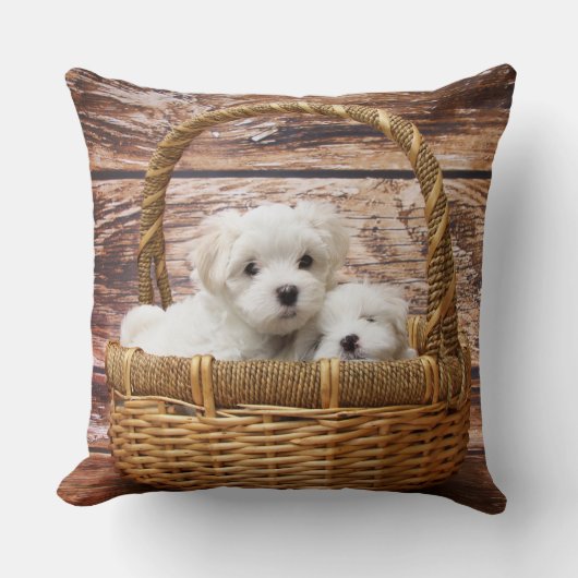 バスケットに入った白い子犬 クッション (正面)