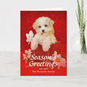 バスケットに坐っている甘く小さいクリスマスの子犬 シーズンカード