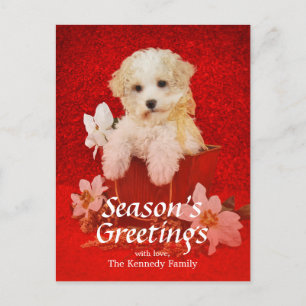 バスケットに坐っている甘く小さいクリスマスの子犬 シーズンポストカード