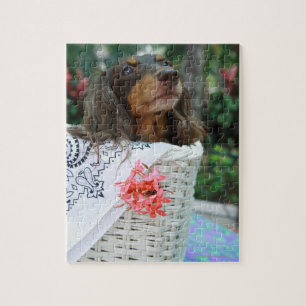 バスケットに座っているダックスフント犬のクローズアップ ジグソーパズル